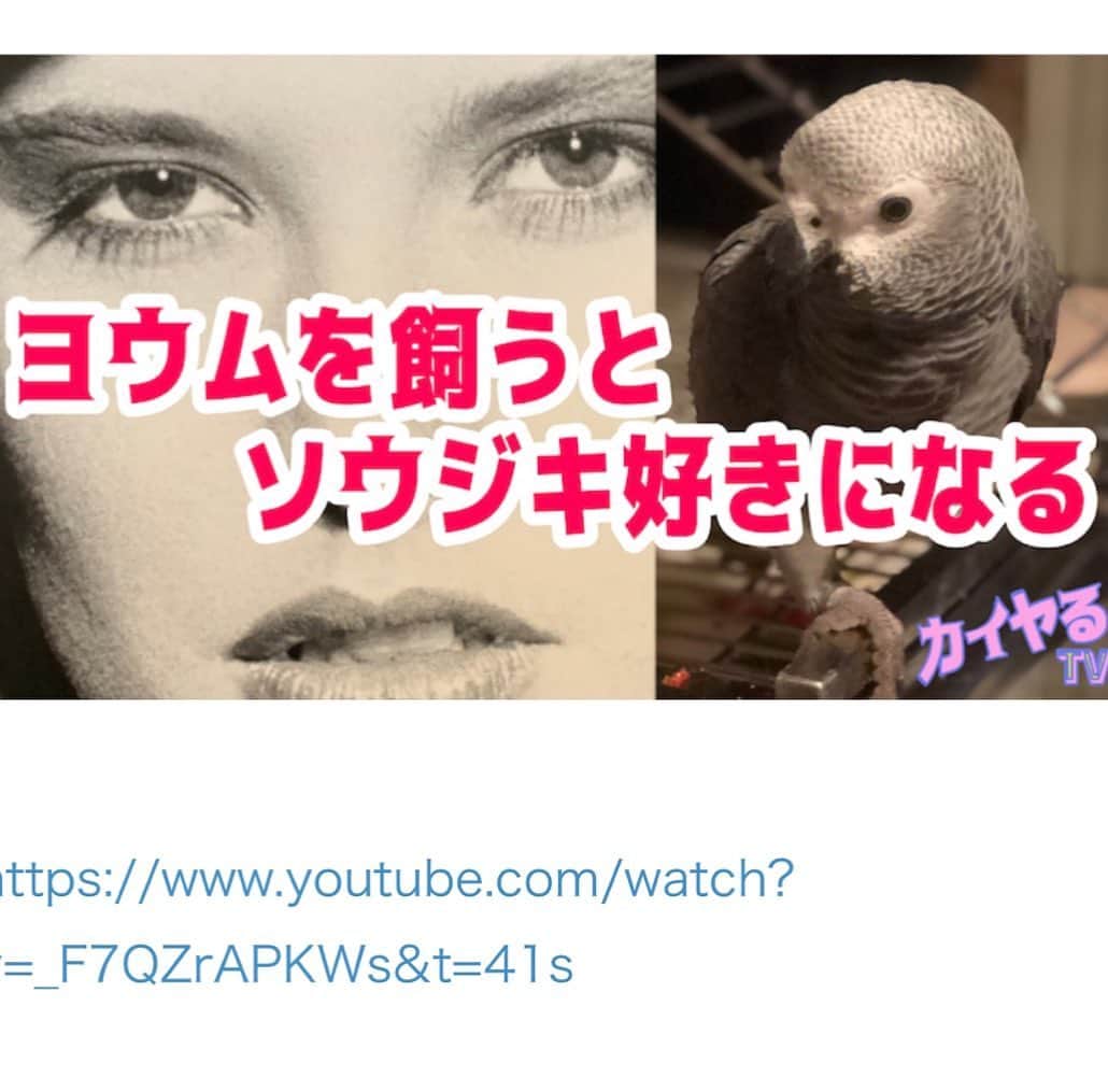 カイヤのインスタグラム