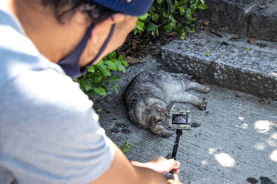 岡本圭司さんのインスタグラム写真 - (岡本圭司Instagram)「猫を真剣に撮るおじさん。 どっちも可愛い #cvb #チョコチャン #猫」7月14日 13時50分 - hywod_kj