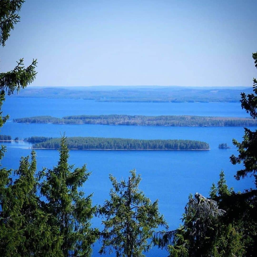 フィンランド政府観光局さんのインスタグラム写真 - (フィンランド政府観光局Instagram)「コリの丘と湖は、1年中ハイキングやアクティビティが楽しめます。もちろん、ただ景色を眺めるだけでも素敵です。😊 ． @kristiina_jk さんの写真。Kiitos！ #visitfinland #ourfinland #visitfinlandjp # #finland #北欧旅行 #travelgram #フィンランド #フィンランド政府観光局 #北欧 #travel #instatravel #travel #travelgram #travelling #traveler #おうちで北欧を楽しもう #おうちフィンランド #旅を夢見て #北欧に行きたい気持ちを満たそう #国立公園 #コリ」7月14日 14時40分 - visitfinlandjapan
