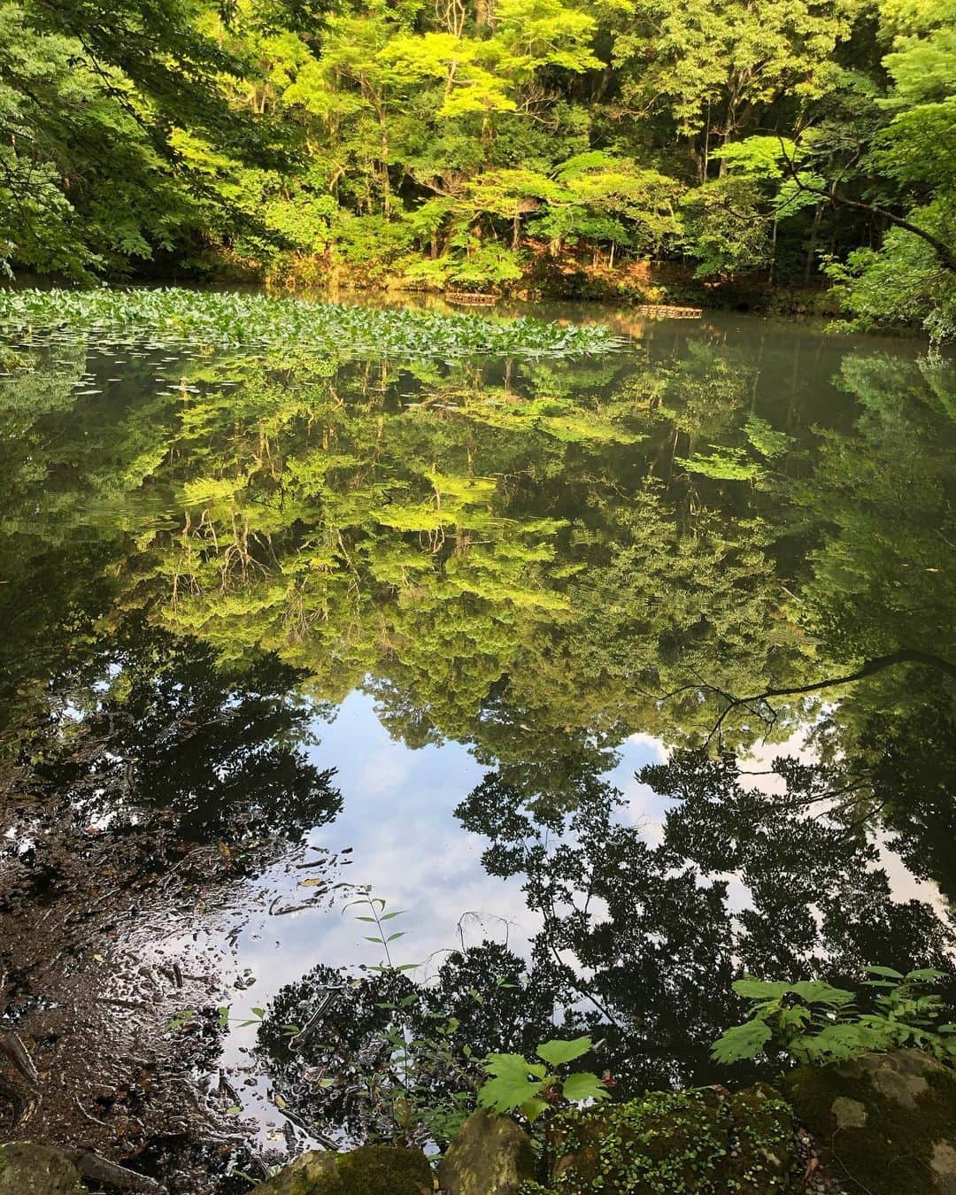 のインスタグラム