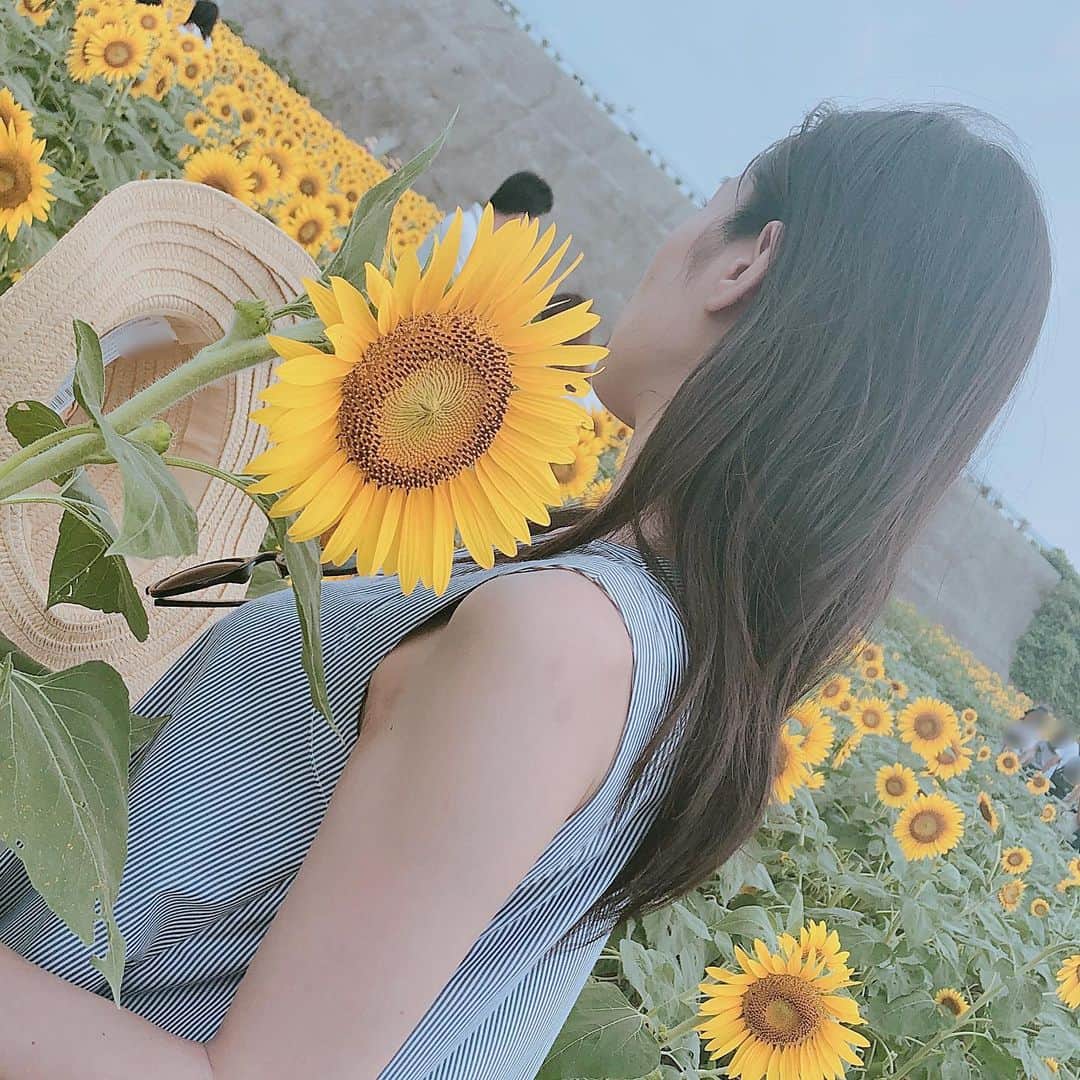 小澤真利奈さんのインスタグラム写真 - (小澤真利奈Instagram)「今日はひまわりの日なんだって。 知らなかった。 またひまわり畑に行ける日がきて欲しいな。  #お姉ちゃんが連れてってくれた #いつの日かのひまわり畑 #1番好きなお花 #ひまわり #7月14日はひまわりの日 #もう覚えたよ」7月14日 15時35分 - marina_kozawa_official