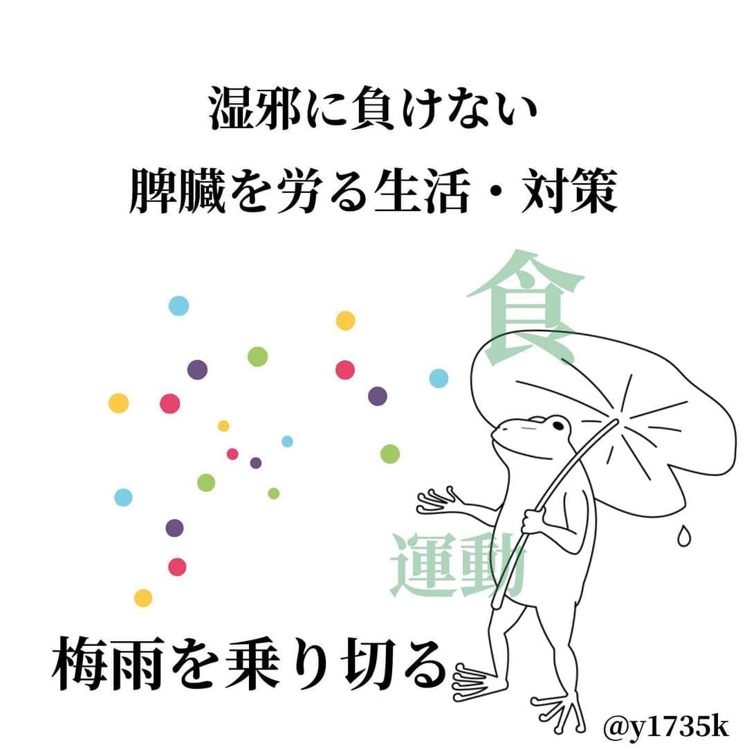 y1735kのインスタグラム：「【湿邪に負けない】 脾臓を労る生活について。 （前からの続きです） ・ 写真2、3枚目 【この時期　不調がある方は控えたい食品】をまとめてみました。 ・ 湿度が高くてついつい 冷たいもの欲しますが、ちょっとだけ控える日を作りましょう！ ・  写真4枚目 【この時期　夏野菜を積極的に取り入れたい】 利水作用があり体内の余分な水、湿を排出します。（きゅうり、トマトなどは火を入れる調理法がオススメ） ・ 紫蘇やきのこ類も脾、胃腸の消化機能や免疫を高める点でとてもオススメ食材です。（→きのこ類を意識して食べるようになって　調子が良い◎） ・ 豆類や他には海藻類も水湿を排出してくれます。食物繊維豊富で便秘解消、肌ツヤ効果。 ⚠️どの食材も食べすぎはNG。消化不良に繋がります。私も黒豆好きすぎてつい食べすぎだ結果　更にお腹パンパンに張りました🙇‍♀️ ・ あとは、この梅雨時期　気分が落ち込みやすい方→柑橘類やジャスミン茶などは気の巡りを良くし、香りがある食薬として知られています。 湿を乾燥させるので、気分をスッキリさせてくれます🍊 ・ 私も最近はジャスミン茶取り入れてます🍃  ・ そして『食』と同じように『動』食で補ったエネルギーを身体全身に巡らせるために、身体を動かす時間を作る。そして、体内の湿を外に汗として出すことが大切。 ・ 私も食材や食べ合わせなどを勉強中で、自分の体質に合わせ生活に取り入れながらこの場で記録させて頂いています👏 この時期、もう一踏ん張りしたい、何とか乗り切りたい、不調を少しでも改善できたら、、そんな時参考にして頂けるといいなと思います☺️ ・ #梅雨の過ごし方 #梅雨の身体 #脾臓 #bodymake #yoga」