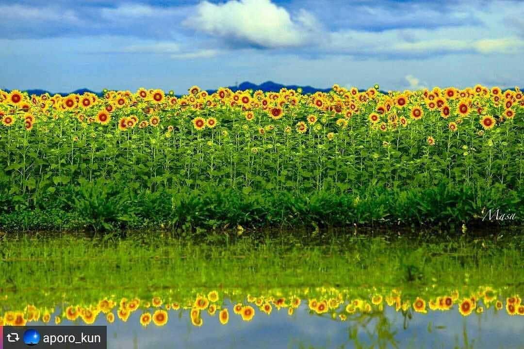 兵庫県のインスタグラム