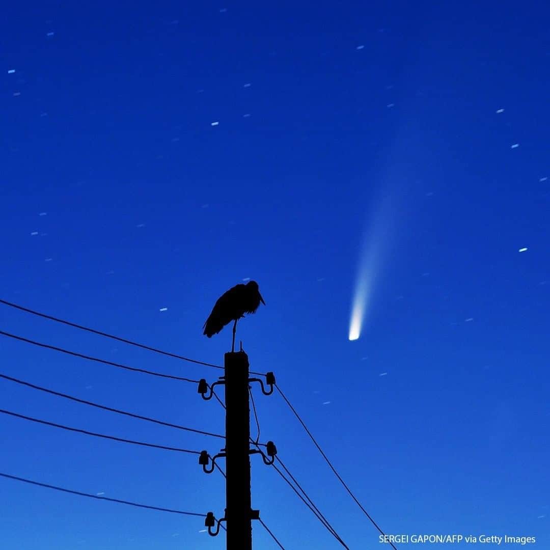 ABC Newsさんのインスタグラム写真 - (ABC NewsInstagram)「A stork stands on a power lines pillar as the comet C/2020 F3 (NEOWISE) is seen in the sky above the village of Kreva, some 100 km northwest of Minsk, Belarus. #comet #astronomy #sky #neowise」7月14日 16時24分 - abcnews