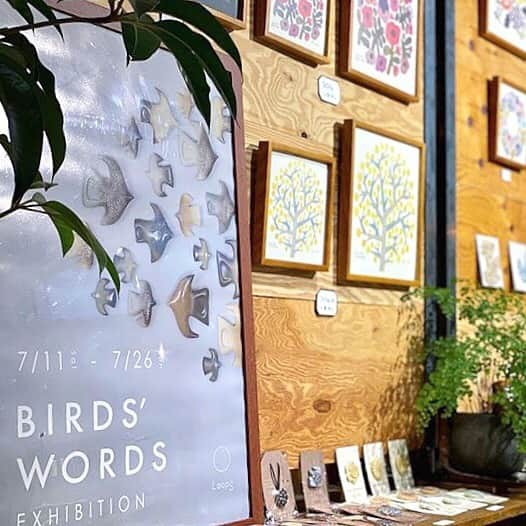 BIRDS' WORDSさんのインスタグラム写真 - (BIRDS' WORDSInstagram)「． 〈フェアのお知らせ〉  7/11(土)～7/26(日)までの期間、岐阜県岐阜市の＠Loops_nagara様の店内の一角にて、バーズワーズのアイテムを一堂にご覧いただけるフェアを開催していただいております。   日頃よりバーズワーズのアイテムをお取扱いいただいているお店様ですが、フェア期間中はLOVE BIRDをはじめ、より多くのアイテムご覧いただけますので、お近くの方はぜひ足を運んでいただければと思います。   ●”BIRDS’ WORDS　EXHIBITION” ――――――――――――――――――― ［期間］2020年7月11日(土)～7月26日(日) ［場所］Loops ［住所］岐阜県岐阜市長良井田71 Bテラス1F ［TEL］058-201-5700 ―――――――――――――――――――   #birdswords #バーズワーズ」7月14日 16時38分 - birds_words