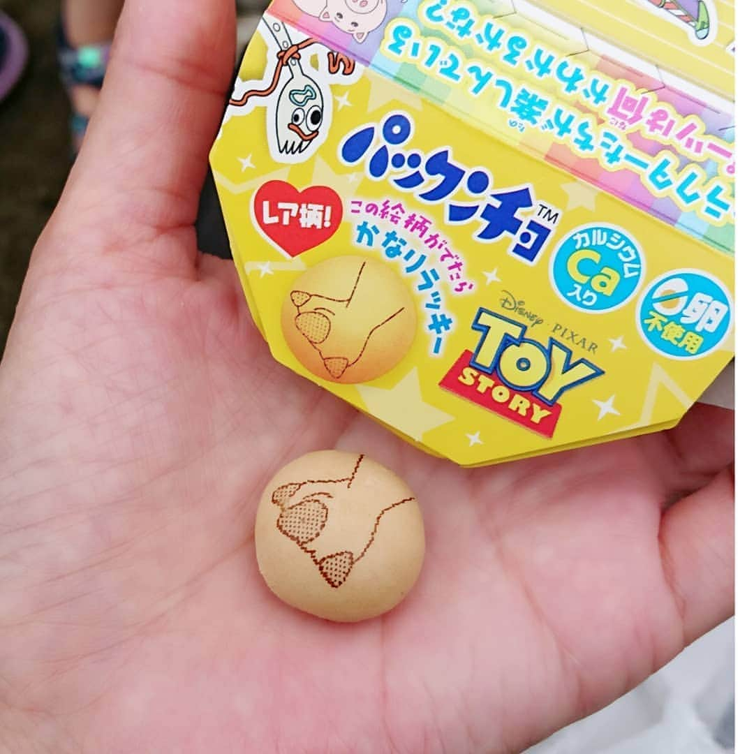 中田有紀さんのインスタグラム写真 - (中田有紀Instagram)「かなりラッキー！って言われても、どれくらいのレア度なの？ すぐ出てきたんだけど😗 確率を知りたいなぁ🎯 #トイストーリー #toystory #レックス #パックンチョ #おいしいよね」7月14日 17時26分 - akinakada0508