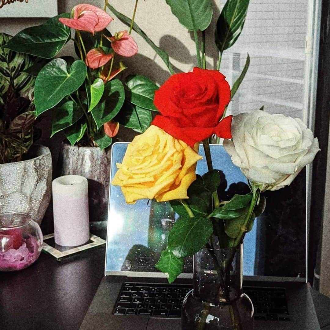疋田万理のインスタグラム：「I love flowers. Cliché but I love roses. Working from home made my house filled with plants and flowers.   Rose credit: @mekatek」