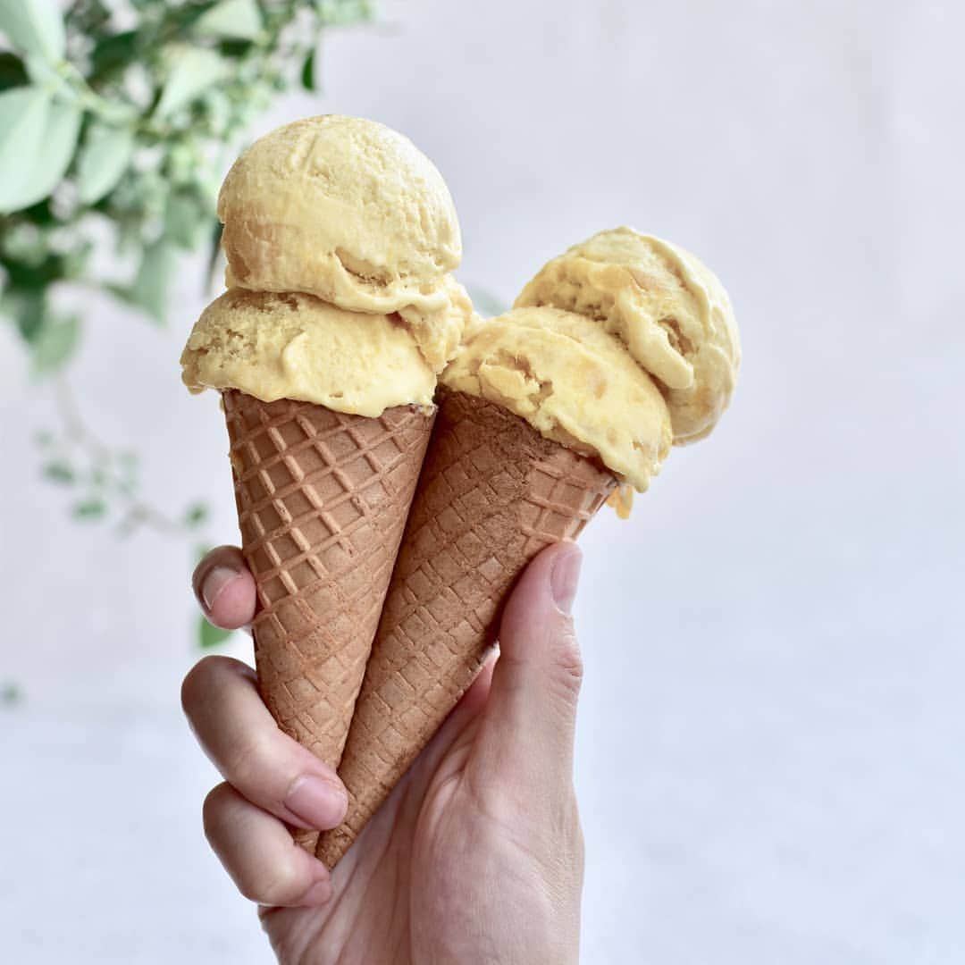 ザーネワンダー公式Instagramさんのインスタグラム写真 - (ザーネワンダー公式InstagramInstagram)「レシピあり🥭🍦 「マンゴーヨーグルトアイス」の作り方 * マンゴーを贅沢に使った濃厚なアイスをご紹介♪ ヨーグルトと合わせることで後味はさっぱりお楽しみいただけます❤️ * * 今回のレシピは、 @reiko.t.table さんに作ってもらいました！  [Reiko さんからのワンポイント] ギリシャヨーグルトは水切りしたプレーンヨーグルトや 水切りした豆腐でも代用できますよ☝️ * * 3枚目に「ドイツアルプスを巡る旅」が当たる キャンペーンのお知らせがありますよ！ プロフィールのURLから詳細を確認できます✅ * ぜひ参考に作ってみてくださいね！ * * ∴♔∴∴♔∴ Ⓡ Ⓔ Ⓒ Ⓘ Ⓟ Ⓔ ∴♔∴∴♔∴ * 「マンゴーヨーグルトアイス」 * 【材料】 ザーネワンダーホイップクリーム…150g ギリシャヨーグルト…50g マンゴー（缶詰）…200g * 【作り方】 ① 保存容器、または保存袋にザーネワンダーホイップクリームを絞り出し、ギリシャヨーグルトを加える。 * ②マンゴーの半分をフードプロセッサーでペーストにし、残り半分は1cm角に切る。 * ③1にペーストのマンゴーを入れてよく揉み、全体の色が均一になったら1cm角に切ったマンゴーも加えて揉み、冷凍庫で冷やし固める。 * ④ディッシャーですくい、コーンやグラスに盛る。 * * #ザーネワンダー #ホイップクリーム #生クリーム * #今日のごはん #手作りごはん #簡単レシピ #おかず #レシピ #食卓 #節約 #献立 #家庭料理 #節約生活 #自炊 #ランチ #家ごはん #時短レシピ #簡単レシピ #おいしい #料理 #美味しい #おうちごはん #手作り料理 #手料理 #料理好きな人と繋がりたい #スイーツ好きな人と繋がりたい #マンゴー #マンゴーアイス #水切りヨーグルト #ヨーグルトアイス」7月14日 18時03分 - sahnewunder_jp