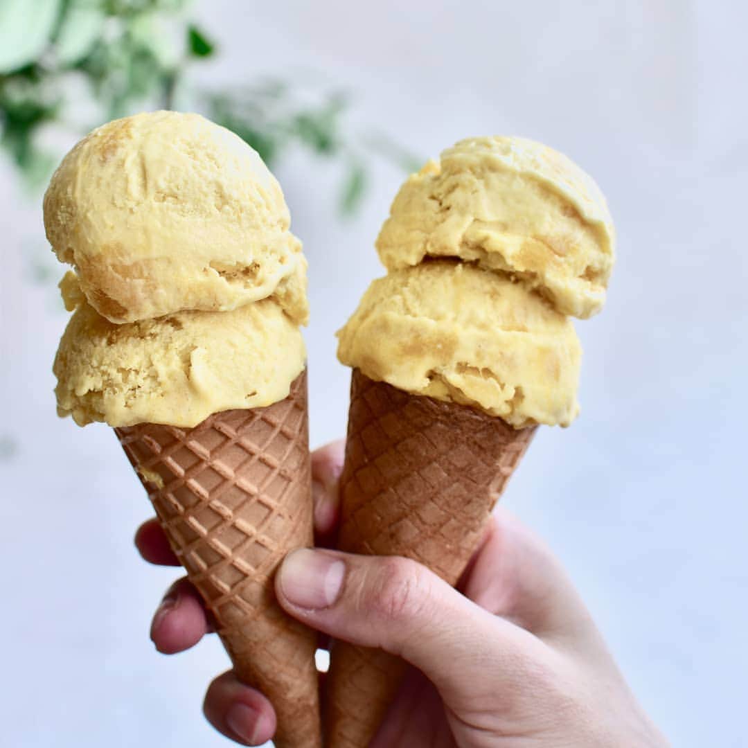 ザーネワンダー公式Instagramさんのインスタグラム写真 - (ザーネワンダー公式InstagramInstagram)「レシピあり🥭🍦 「マンゴーヨーグルトアイス」の作り方 * マンゴーを贅沢に使った濃厚なアイスをご紹介♪ ヨーグルトと合わせることで後味はさっぱりお楽しみいただけます❤️ * * 今回のレシピは、 @reiko.t.table さんに作ってもらいました！  [Reiko さんからのワンポイント] ギリシャヨーグルトは水切りしたプレーンヨーグルトや 水切りした豆腐でも代用できますよ☝️ * * 3枚目に「ドイツアルプスを巡る旅」が当たる キャンペーンのお知らせがありますよ！ プロフィールのURLから詳細を確認できます✅ * ぜひ参考に作ってみてくださいね！ * * ∴♔∴∴♔∴ Ⓡ Ⓔ Ⓒ Ⓘ Ⓟ Ⓔ ∴♔∴∴♔∴ * 「マンゴーヨーグルトアイス」 * 【材料】 ザーネワンダーホイップクリーム…150g ギリシャヨーグルト…50g マンゴー（缶詰）…200g * 【作り方】 ① 保存容器、または保存袋にザーネワンダーホイップクリームを絞り出し、ギリシャヨーグルトを加える。 * ②マンゴーの半分をフードプロセッサーでペーストにし、残り半分は1cm角に切る。 * ③1にペーストのマンゴーを入れてよく揉み、全体の色が均一になったら1cm角に切ったマンゴーも加えて揉み、冷凍庫で冷やし固める。 * ④ディッシャーですくい、コーンやグラスに盛る。 * * #ザーネワンダー #ホイップクリーム #生クリーム * #今日のごはん #手作りごはん #簡単レシピ #おかず #レシピ #食卓 #節約 #献立 #家庭料理 #節約生活 #自炊 #ランチ #家ごはん #時短レシピ #簡単レシピ #おいしい #料理 #美味しい #おうちごはん #手作り料理 #手料理 #料理好きな人と繋がりたい #スイーツ好きな人と繋がりたい #マンゴー #マンゴーアイス #水切りヨーグルト #ヨーグルトアイス」7月14日 18時03分 - sahnewunder_jp