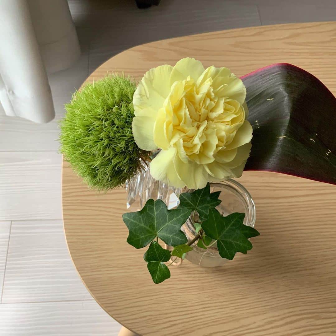 ウラクのインスタグラム：「今回はカーネーションと、可愛いモサモサ（テマリソウ）とドラセナでした🌿2週間以上前に送ってもらったアイビーがなんとまだ元気…！アヲハタジャムの瓶に刺さってスクスク育ってます。かわいい。 【初回無料クーポンコード】を頂きましたので、検討中の方はぜひに。  お花が自宅ポストに届く、という @bloomeelife さんのすてきすぎるサービスです🌿 . . . ◆初回無料クーポンコード：ulaq ◆有効期限：2020年7月31日  #pr #bloomeelife #お花#おうち時間 #お花の定期便 #お花のサブスク #サブスク」
