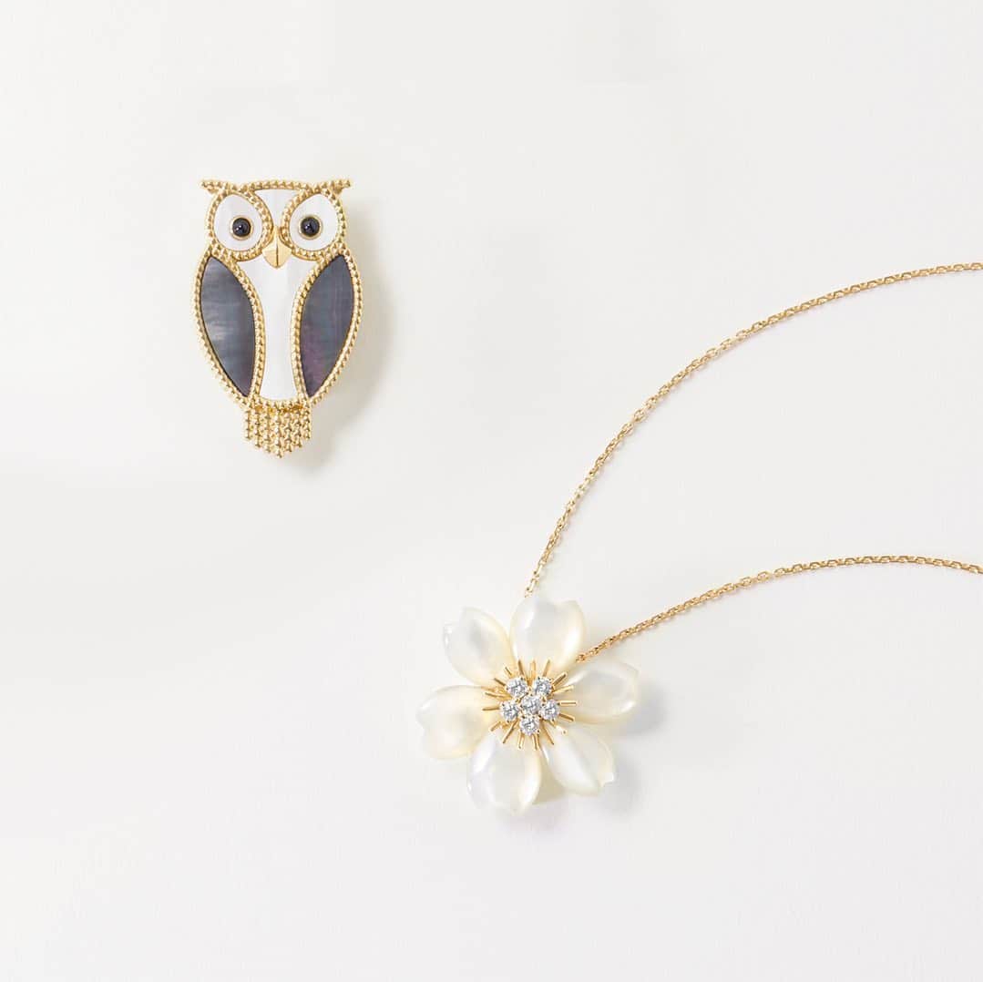 ヴァンクリーフ&アーペルさんのインスタグラム写真 - (ヴァンクリーフ&アーペルInstagram)「[MOTHER-OF-PEARL] Do you know where mother-of-pearl comes from?   Mother-of-pearl is produced naturally in certain shells. It illuminates jewelry creations with its glistening reflections, imparting a spirit of femininity, softness and protection. For white and gold mother-of-pearl, the Maison primarily looks toward Australia. Gray mother-of-pearl, known for its harmonious gray-silver tones and captivating glow, comes from French Polynesia. #VCAalhambra #VCAluckyanimals #VCArosedenoel #VanCleefArpels」7月14日 18時46分 - vancleefarpels