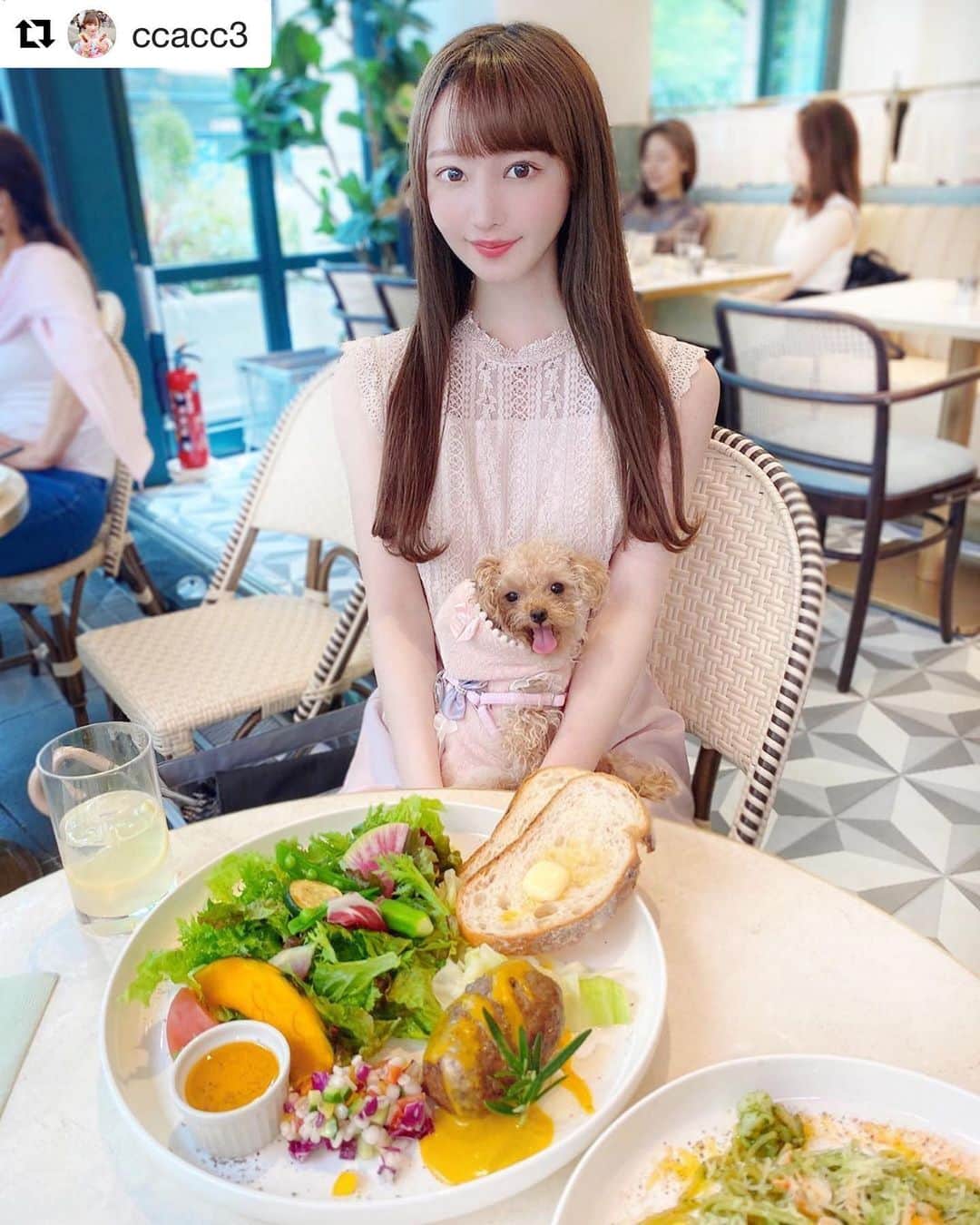 のインスタグラム：「縦柄レースワンピース💓 投稿ありがとうございます😊 ・・・ #Repost @ccacc3 with @get_repost ・・・ . . 表参道にあるアニヴェルセル🍝💞 . テラス席がわんちゃんも大丈夫だから ぽてちゃんと行ってきたよ₍ᐡˊo̴̶̷̤ ̫ o̴̶̷̤ˋᐡ₎ . この何とも言えない顔が可愛い🤣('👅')❣️ . 色んな犬種のわんちゃんが居て目の保養だった🤤 暑くなる前に沢山テラス席のあるカフェに行きたいな♩¨̮ . . #アニヴェルセル #アニヴェルセル表参道  #表参道巡り #表参道カフェ #表参道 #表参道ランチ  #東京カフェ #東京グルメ #東京 #カフェ巡り #l4l #instagood #いいね返し  #laissepasse #レッセパッセ #グルメ女子」