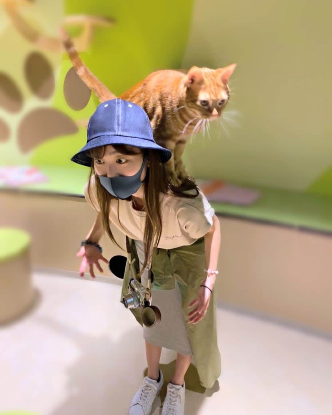 菜々香のインスタグラム：「ぬこさまと組体操の練習。🐈笑  いつか撮った奇跡の一枚😻😻😻 #急な飛び乗り #固まる私 #ぬこさま可愛い！ #ああ動物と戯れたい 🐈🐈🐈🐈🐈🐈🐈」
