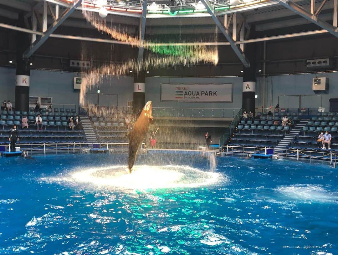 吉原珠央さんのインスタグラム写真 - (吉原珠央Instagram)「夏の水族館♫  メリゴーランド→クラゲ→イルカのショー→サメ🦈→ペンギン→熱帯魚→お土産ショップ（買ってもガチャガチャ一回だけ）子供たちも私も大好きな水族館♡  イルカのショーでは「もっと近くで見たい！」といって1人だけ私たちより数列ほど前に座った息子。  その10秒後にイルカのジャンプの水しぶきでびしょ濡れに💦 「ただ、近くで見たかっただけなのにー」と真剣に泣き出す息子🤣 必死で笑いをこらえる娘。  やっぱり必ず何かが起こる我が家でした。  #夏 #水族館 #楽しいひと時 #年間パスポート #クラゲ #幻想的  #乗り物好き #目が回る #喜ぶ顔 #いつも何かが起こる  #笑いあり涙あり  #感動あり #イルカショー #何か温かいものを感じる」7月14日 19時43分 - tamaoyoshihara