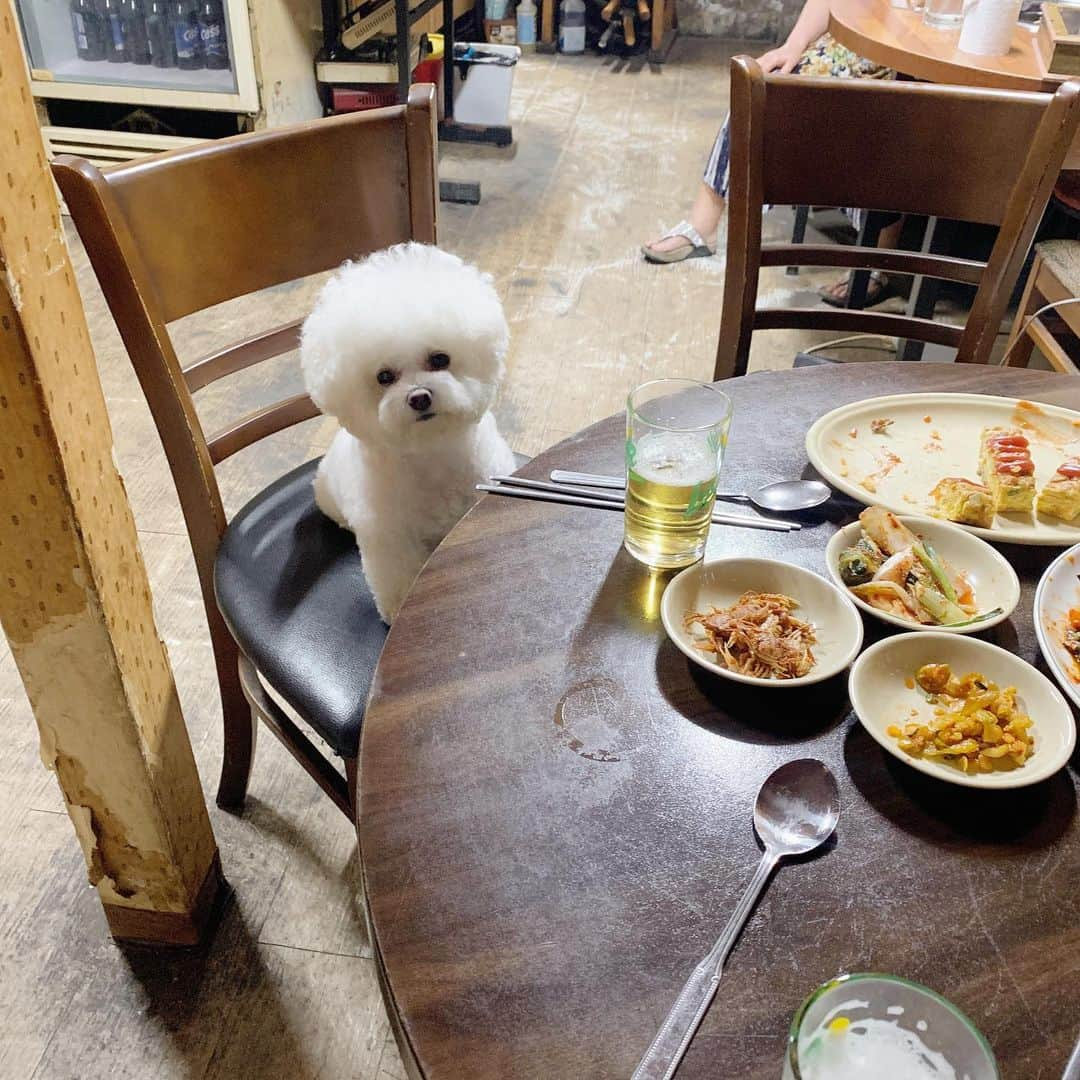 スヒョンさんのインスタグラム写真 - (スヒョンInstagram)「♥ 우울하다고 했더니 베프가 달려와줬다 ㅋ 우리 우정 영원하자 친구야 ㅋ 근데 소맥을 말아줘도 왜 먹질 못하니 ? 🐶 #𝑱𝒂𝒏𝒈𝒔𝒖𝒉𝒚𝒖𝒏_장숑」7月14日 19時46分 - jshs2