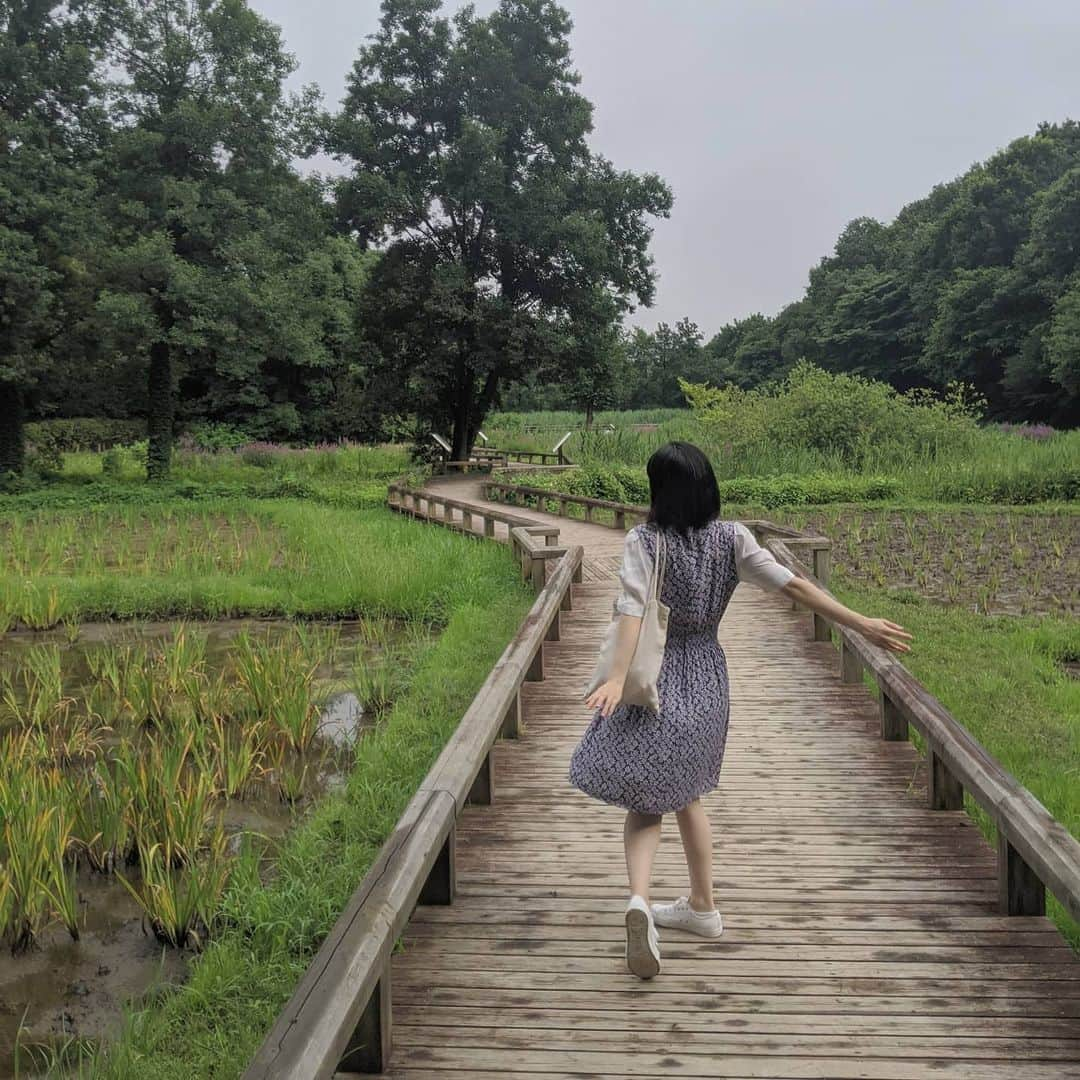 谷口朝香さんのインスタグラム写真 - (谷口朝香Instagram)「お気に入りの植物園でリフレッシュ🌿」7月14日 19時54分 - asamaru.jp