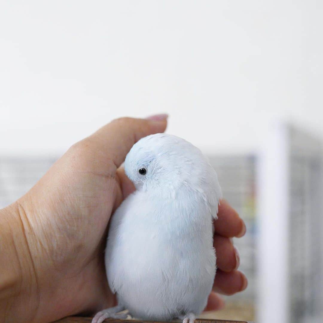 SAORIのインスタグラム
