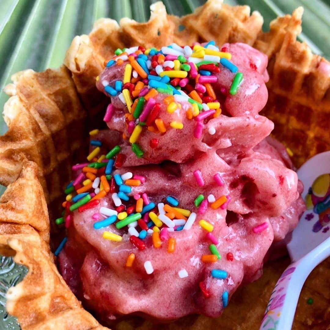 Yonanasのインスタグラム：「The kids will NEVER know that this “ice cream” is actually 100% fruit! Sneak in some healthy, wholesome ingredients into their summer treats with Yonanas.  Thanks to @luluslittlelunches for sharing your kid-approved (and parent-approved) snack!」