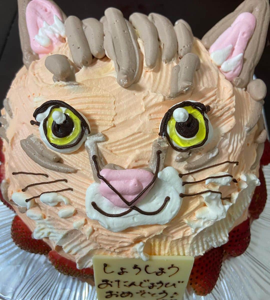 西平風香さんのインスタグラム写真 - (西平風香Instagram)「この前、旦那氏がお誕生日だったから、ママがシンバの顔のケーキを注文して届けてくれた♡！可愛い。そして美味しかった。 去年はクロエの顔だったのよーん。」7月15日 7時26分 - fuukanishihira