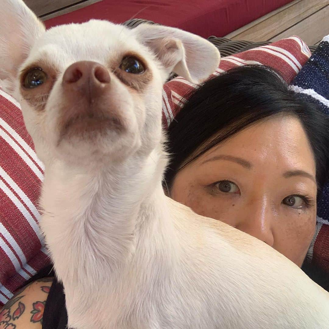 マーガレット・チョーさんのインスタグラム写真 - (マーガレット・チョーInstagram)「Our eyeliner smudges in the same way #chihuahua #rescuedog #love #dogsofinstagram #likemotherlikedaughter」7月15日 7時27分 - margaret_cho