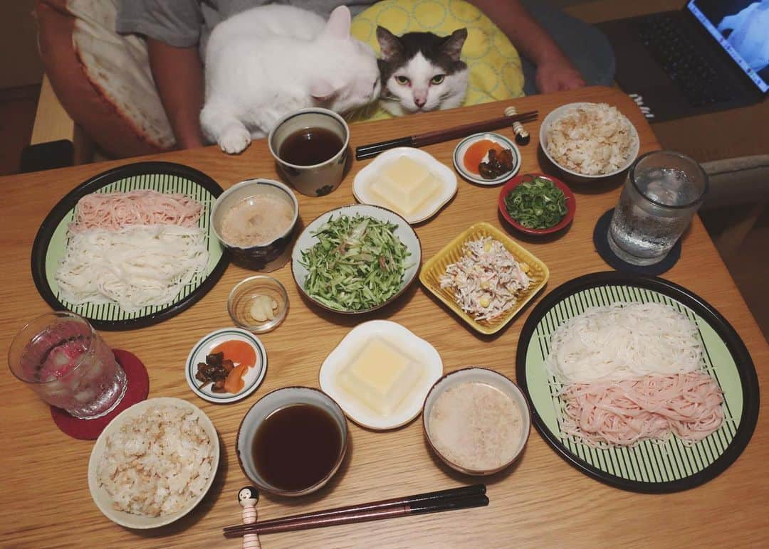 八、おこめさんのインスタグラム写真 - (八、おこめInstagram)「大好きな三輪素麺頂いた✨ ピンク素麺はトマトを練り込んだ素麺🍅 薬味は胡瓜、ミョウガ、大葉、ネギ、生姜。 鰹だしとインスタで見て作った味噌胡麻だれの2種類♩ 素麺盛り付けるのって難しいなぁ〜。 もじゃもじゃってなるw 鶏そぼろの混ぜご飯。玉子豆腐。 味噌漬けのお漬け物。ゴボウサラダ。 #三輪素麺 #和食 #素麺 #八おこめ #ねこ部 #cat #ねこ #猫 #ネコ #八おこめ食べ物」7月14日 23時20分 - naomiuno