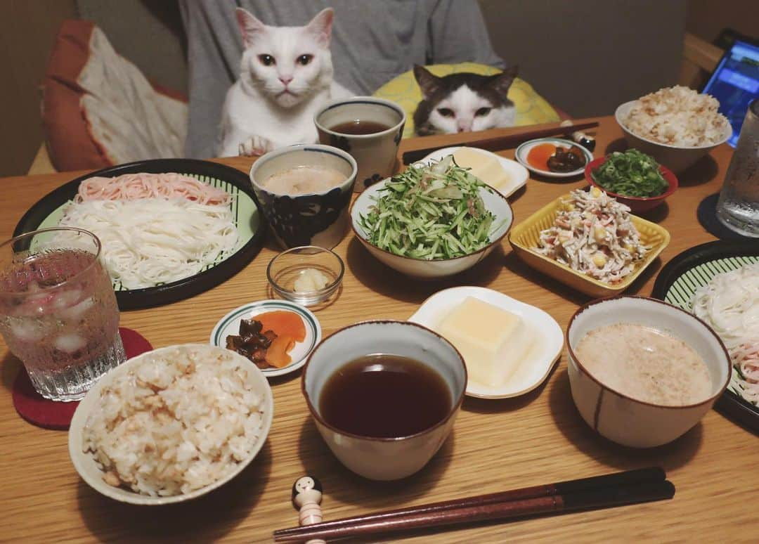 八、おこめさんのインスタグラム写真 - (八、おこめInstagram)「大好きな三輪素麺頂いた✨ ピンク素麺はトマトを練り込んだ素麺🍅 薬味は胡瓜、ミョウガ、大葉、ネギ、生姜。 鰹だしとインスタで見て作った味噌胡麻だれの2種類♩ 素麺盛り付けるのって難しいなぁ〜。 もじゃもじゃってなるw 鶏そぼろの混ぜご飯。玉子豆腐。 味噌漬けのお漬け物。ゴボウサラダ。 #三輪素麺 #和食 #素麺 #八おこめ #ねこ部 #cat #ねこ #猫 #ネコ #八おこめ食べ物」7月14日 23時20分 - naomiuno