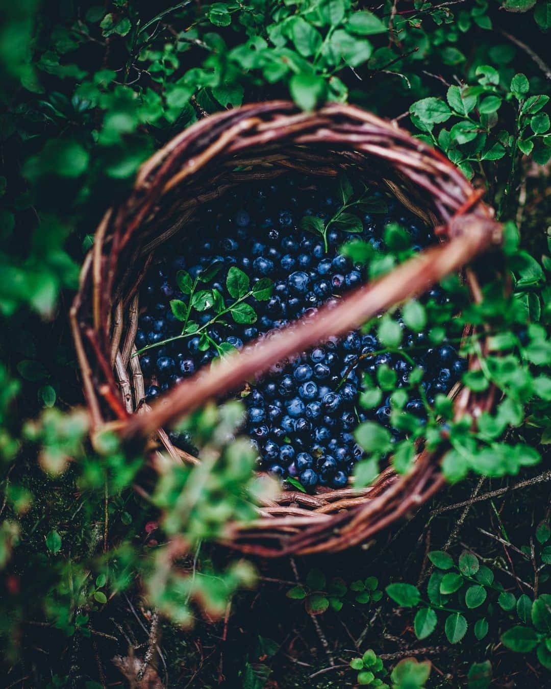 Linda Lomelinoのインスタグラム：「I’m finally baking again! What do you think I’m making with these blueberries? 🤔」
