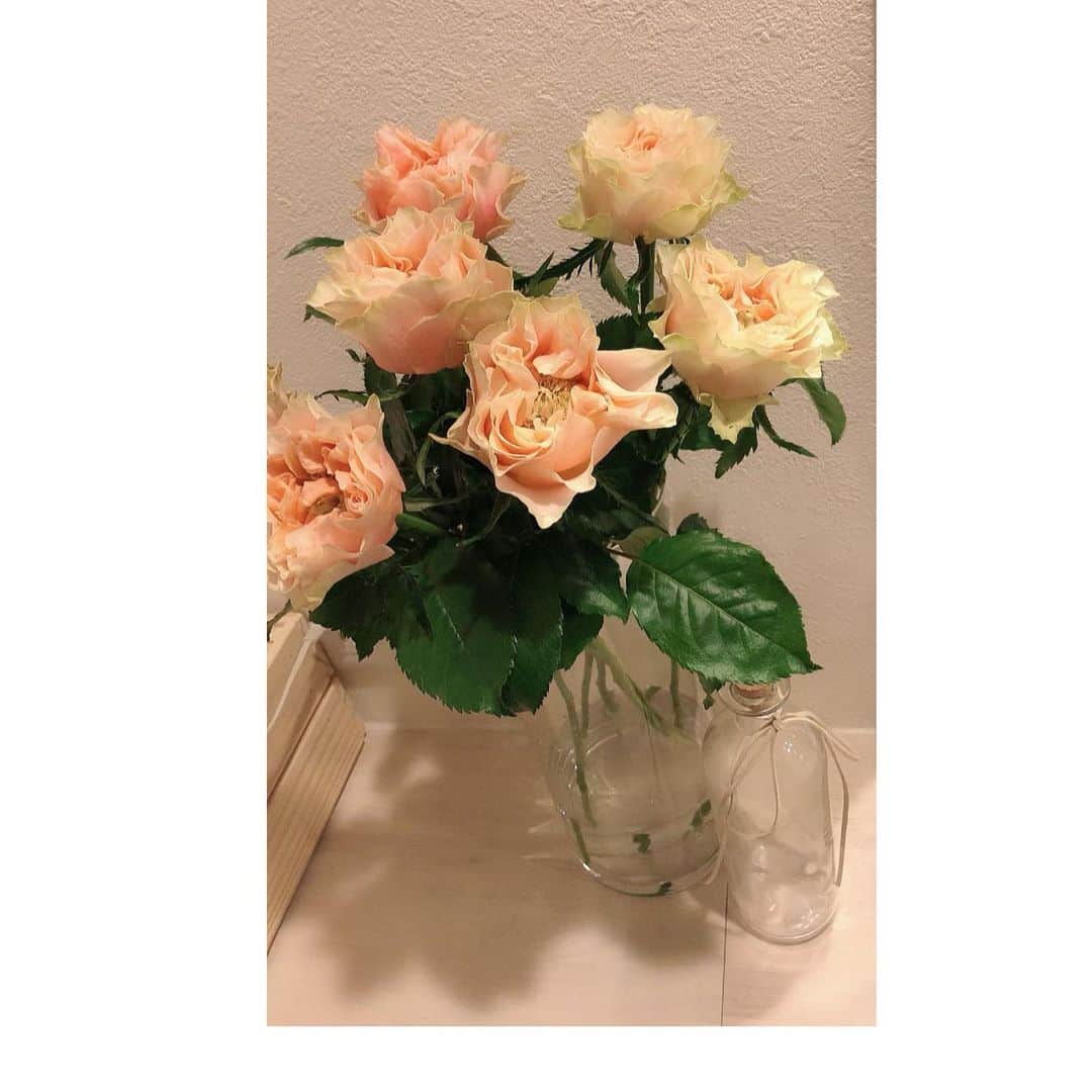 辻やすこのインスタグラム：「新しいローズを🌹  これ、ローズらしいです！ びっくりー🤩🤩🥳  近所のお花屋さん💐を訪ねるのが楽しみの一つになっている🧡🧡🧡  この花のイメージを例えるなら、、、  美女と野獣のベルだなぁ👗👠  #ローズ  #ローズ🌹  #🌹  #お花屋さん  #花のある暮らし  #花  #薔薇 #花が好きな人と繋がりたい  #rose  #flower #」