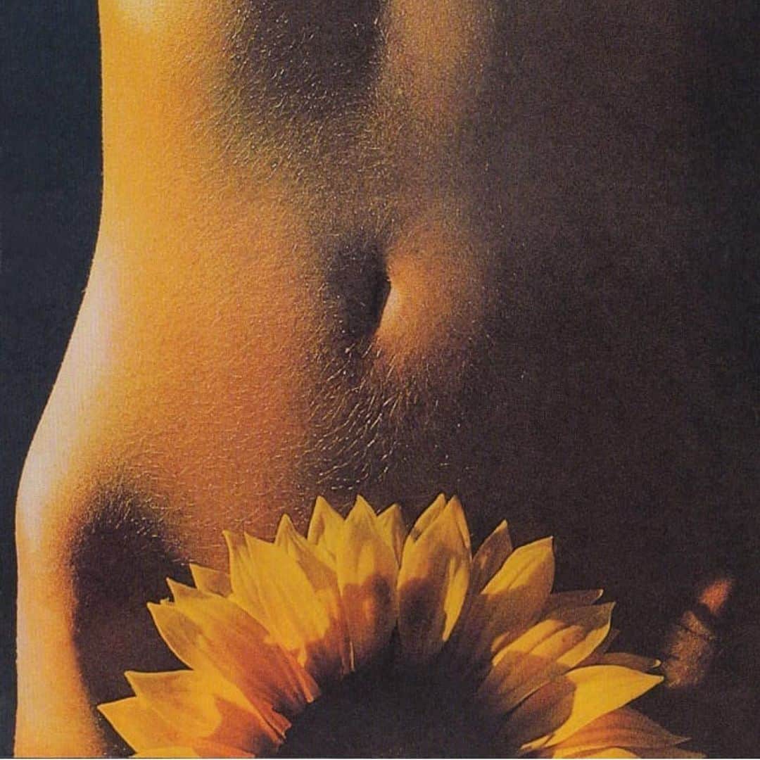 フラヴィア・ルチーニのインスタグラム：「What’s your favorite FL🌻WER ?  #flowers #flowerpower」