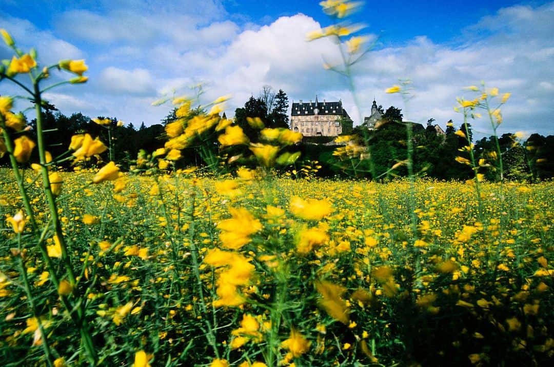 National Geographic Travelさんのインスタグラム写真 - (National Geographic TravelInstagram)「Photo by @gerdludwig  Blossoms fill the fields around Eisenbach Castle in Lauterbach, Germany. Growing up in the neighboring town of Alsfeld, I often visited the castle. From my child’s height point of view, it reminded me of this line from the brothers Grimm version of "Sleeping Beauty": “Then around that place, there grew a hedge of thorns thicker every year, until at last the whole castle was hidden from view.”  @thephotosociety #GrimmsFairyTales #Germany #Lauterbach #EisenbachCastle」7月15日 0時27分 - natgeotravel