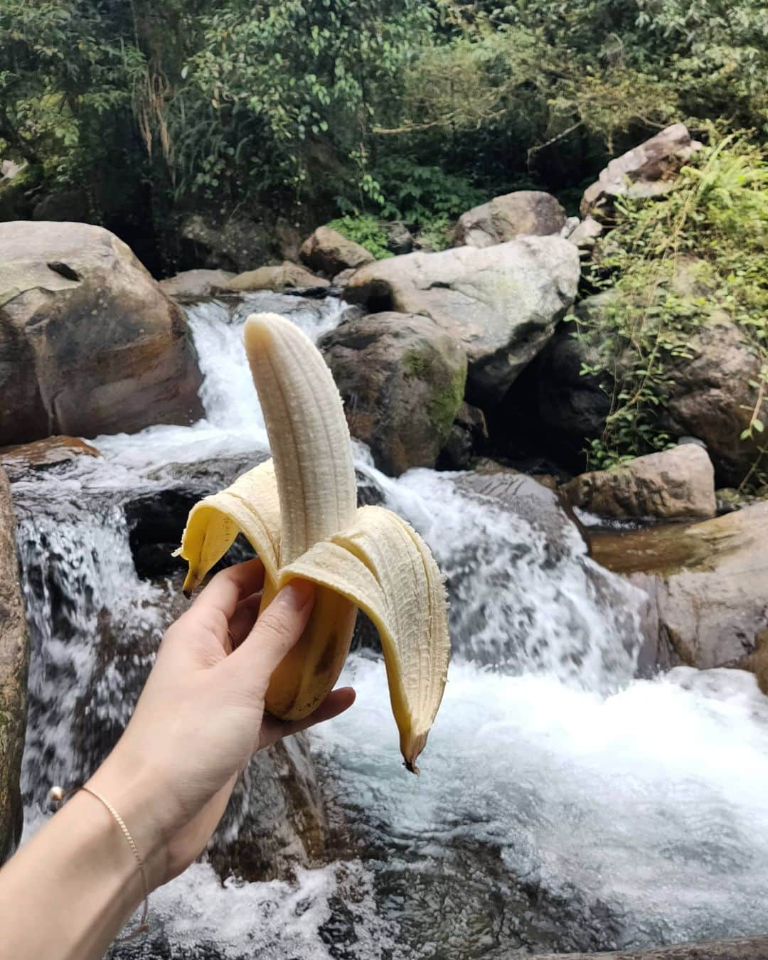 ヒビ・ティエンさんのインスタグラム写真 - (ヒビ・ティエンInstagram)「跟青山綠水蕉個朋友  🌿💚💧🍌🍌🌻🌻💛🎉  #晚安 #暢快 #舒心 #好眠」7月15日 1時55分 - hebe_tien_0330