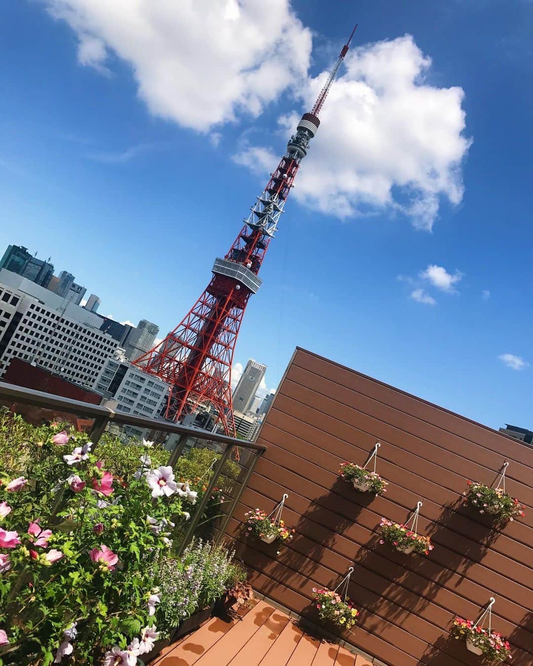クリスティン・ウェイのインスタグラム：「Tokyo life #summer #sunnyday #satyhome #chillout #afternoontea」