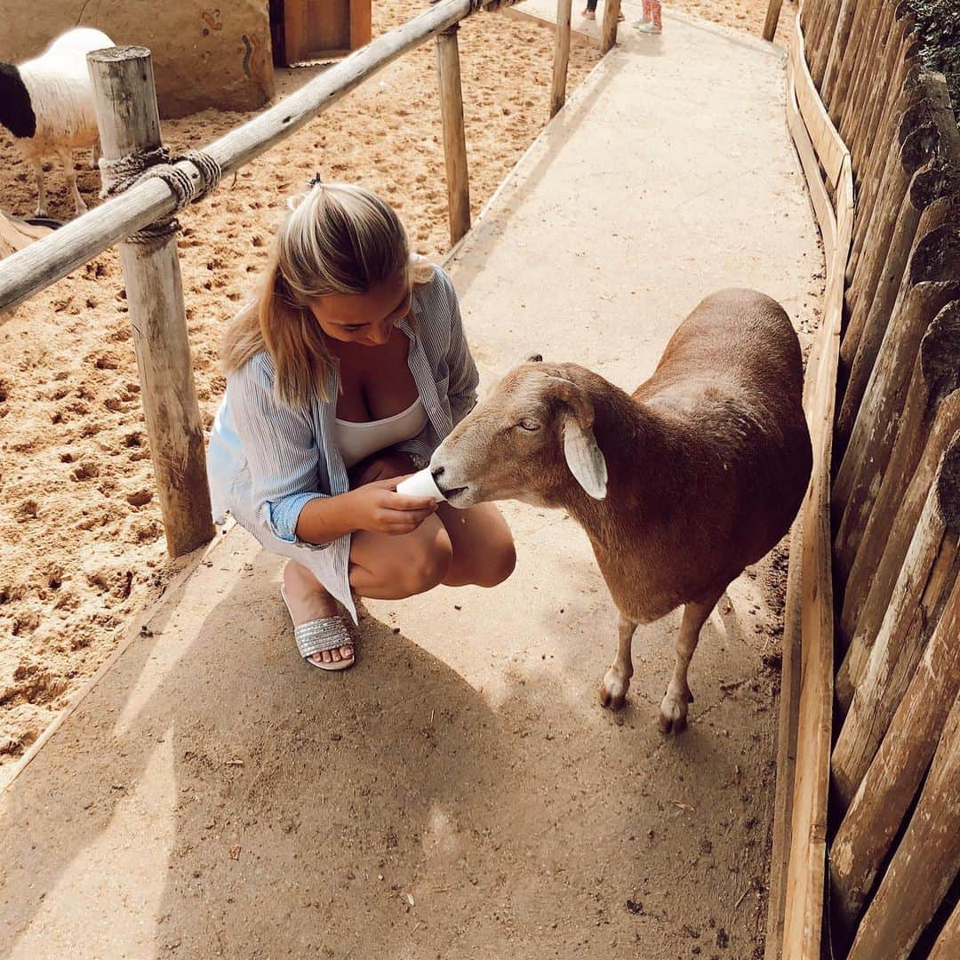 ローレン・プラットのインスタグラム：「Oh how I’ve missed the zoo🦁🐯🐒🦒🦓」