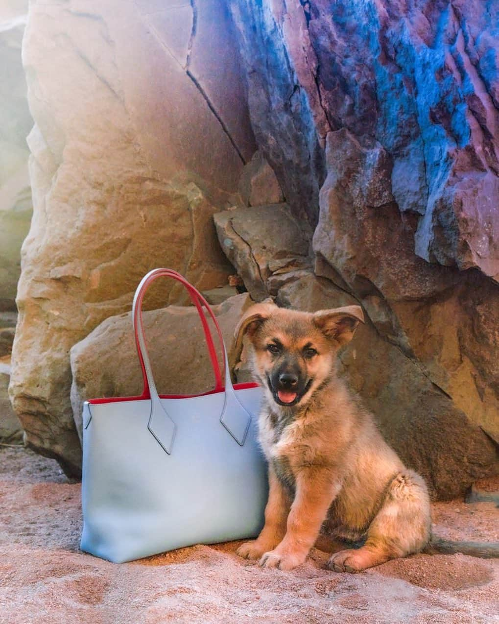 エムツェーエムさんのインスタグラム写真 - (エムツェーエムInstagram)「The Reversible Shopper has ample space for all your essentials, including your pup #MCMWorldwide」7月15日 4時02分 - mcmworldwide