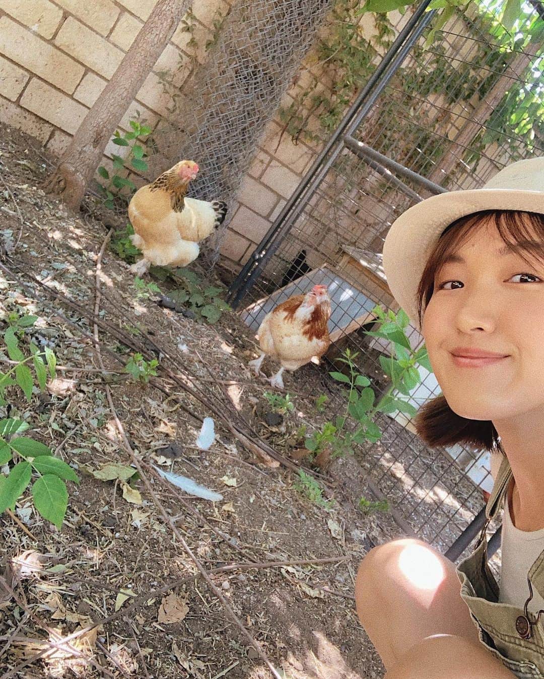 W E Y L I Eさんのインスタグラム写真 - (W E Y L I EInstagram)「Fresh eggs from @soeymilk’s 🐓 Spent the weekend looking after her girls and I had so much fun! I also learned that different breeds of chickens produce different colored eggs as you can see here. Now adding chicken baby sitter to my resume 😂」7月15日 5時33分 - weylie