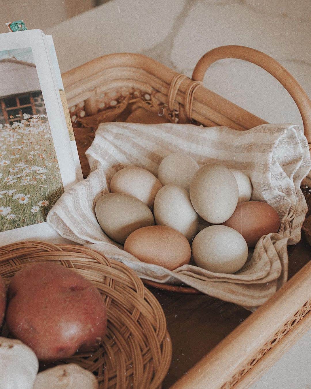 W E Y L I Eのインスタグラム：「Fresh eggs from @soeymilk’s 🐓 Spent the weekend looking after her girls and I had so much fun! I also learned that different breeds of chickens produce different colored eggs as you can see here. Now adding chicken baby sitter to my resume 😂」