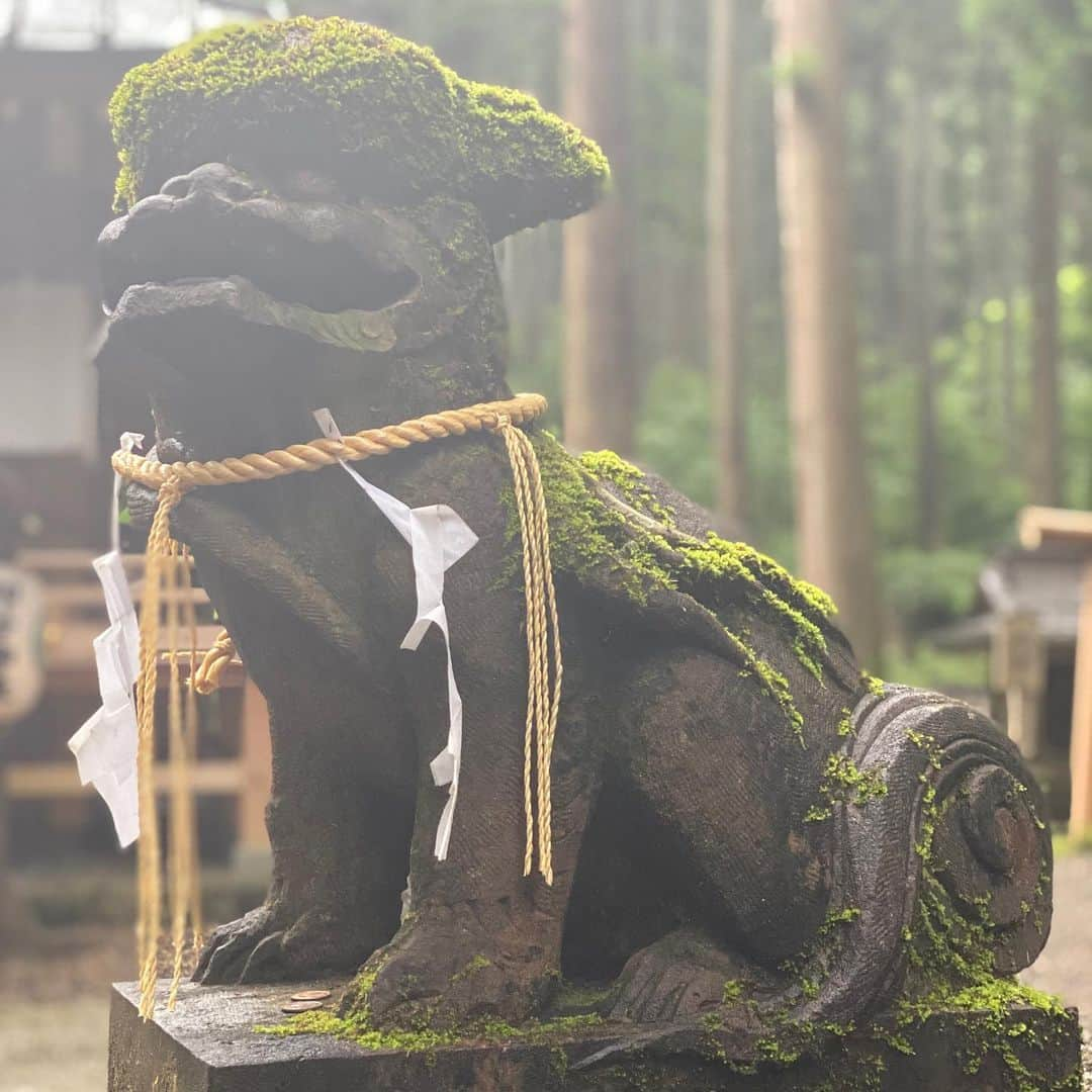 LOVE ME DOさんのインスタグラム写真 - (LOVE ME DOInstagram)「茨城県の御岩神社の狛犬です。頭上にコケが髪の毛があるようにふさふさで可愛いです！髪の毛の悩みがある人に御利益がありそうです。 #茨城県 #御岩神社 #光の柱 #狛犬 #髪の毛の悩み #神社巡り #パワースポット巡り #ラブちゃんパワースポット」7月15日 5時56分 - lovemedo_fortunteller