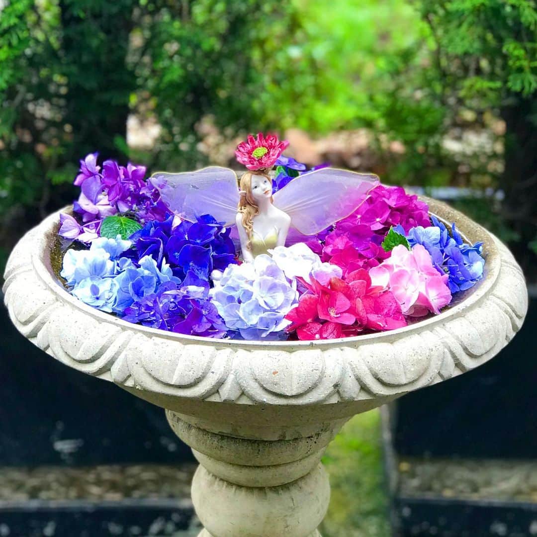 前野えまさんのインスタグラム写真 - (前野えまInstagram)「梅雨明けまだかな☔️ ・ ・ #今日も雨 #梅雨明け #まだかな #紫陽花 #ピンク #青 #紫 #今日も頑張ろう #前野えま   #rain #rainyday #hydrangea #flowers #pink #blue #purple #flowerstagram #flowerphotography  #followme #tagsforlikes #tflers #tagsforlikesapp #actress #actor #girl #photography #portrait #portraitphotography」7月15日 6時13分 - maeno_ema