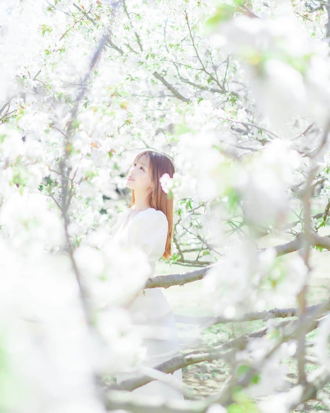 のインスタグラム：「本日！！ KONAMIさんより 『GITADORA EXCHAIN オリジナルサウンドトラック』が発売💿 ． 「Now or Never Mind!!!!! 穐田和恵 feat.MiA」が収録されています。 作曲：MiA 作詞・編曲：Saya ． ． 初の音源化！🎸🥁 是非getして下さいね❤︎ ． ． #CD #ギタドラ #gitadora #gitadoraexchain #ゲーム」