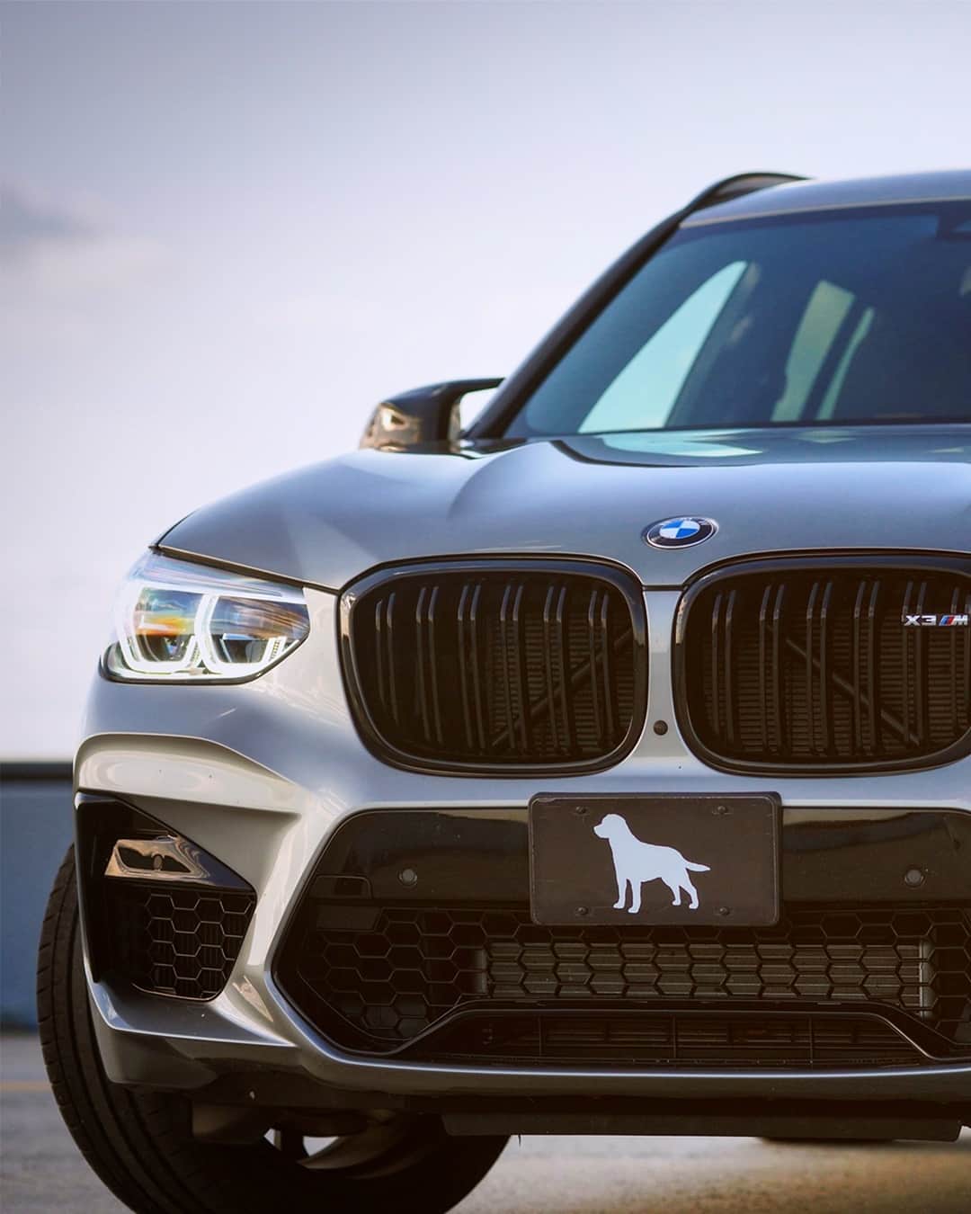 BMWのインスタグラム：「Our closest friends make us who we are. The BMW X3 M. #TheX3M #BMW #X3M #BMWM #BMWrepost @andie_the_lab __ BMW X3 M Competition: Fuel consumption in l/100 km (combined): 10.5. CO2 emissions in g/km (combined): 239.  Further information: www.bmw.com/disclaimer. Acceleration (0-100 km/h): 4.1 s. Power: 375 kW, 510 hp, 600 Nm. Top speed (limited): 250 km/h (with optional M Drivers Package: 285 km/h).」