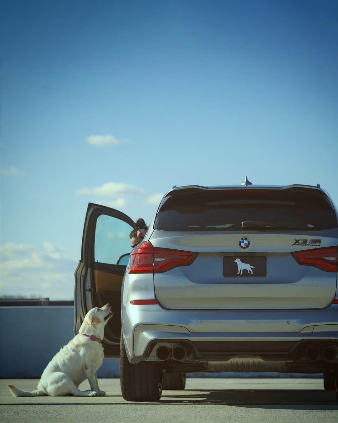 BMWさんのインスタグラム写真 - (BMWInstagram)「Wherever you go, you have a true companion. Two, actually. The BMW X3 M Competition. #TheX3M #BMW #X3M #BMWM #BMWrepost @andie_the_lab __ BMW X3 M Competition: Fuel consumption in l/100 km (combined): 10.5. CO2 emissions in g/km (combined): 239.  Further information: www.bmw.com/disclaimer. Acceleration (0-100 km/h): 4.1 s. Power: 375 kW, 510 hp, 600 Nm. Top speed (limited): 250 km/h (with optional M Drivers Package: 285 km/h).」7月15日 17時16分 - bmw