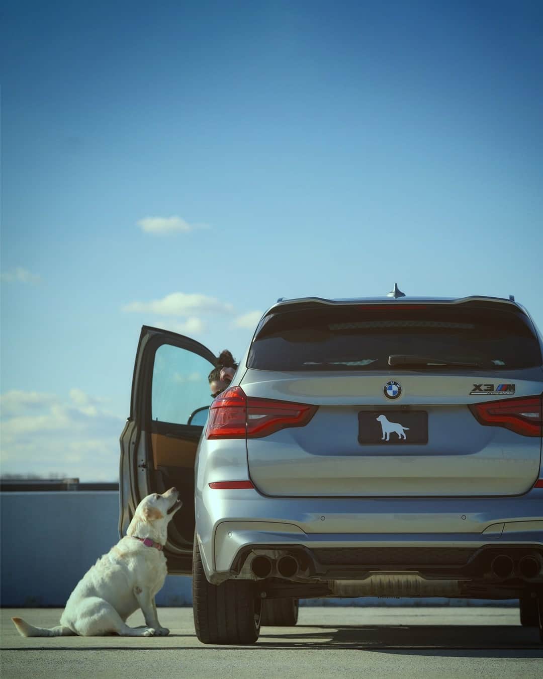 BMWのインスタグラム：「Wherever you go, you have a true companion. Two, actually. The BMW X3 M Competition. #TheX3M #BMW #X3M #BMWM #BMWrepost @andie_the_lab __ BMW X3 M Competition: Fuel consumption in l/100 km (combined): 10.5. CO2 emissions in g/km (combined): 239.  Further information: www.bmw.com/disclaimer. Acceleration (0-100 km/h): 4.1 s. Power: 375 kW, 510 hp, 600 Nm. Top speed (limited): 250 km/h (with optional M Drivers Package: 285 km/h).」