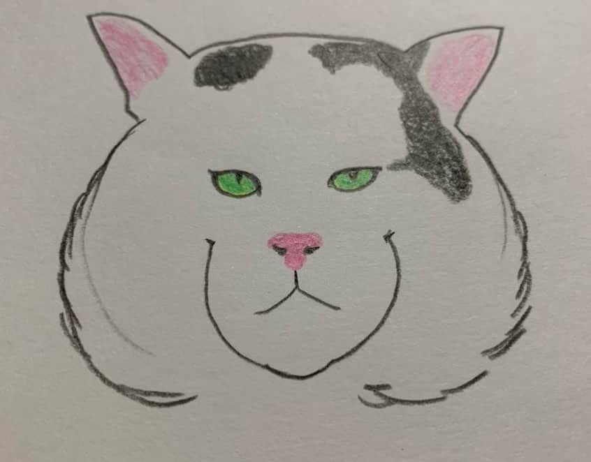 Kachimo Yoshimatsuさんのインスタグラム写真 - (Kachimo YoshimatsuInstagram)「やよいちゃんが、描いてくれた 外猫時代のナナクロ 家猫時代のナナクロ そしてやよいちゃんが大好きなヨウカンさん  ありがとうございました。  #うちの猫ら #nanakuro #ナナクロの絵 #猫 #ねこ #cat #ネコ #catstagram #ネコ部 http://kachimo.exblog.jp」7月15日 9時06分 - kachimo