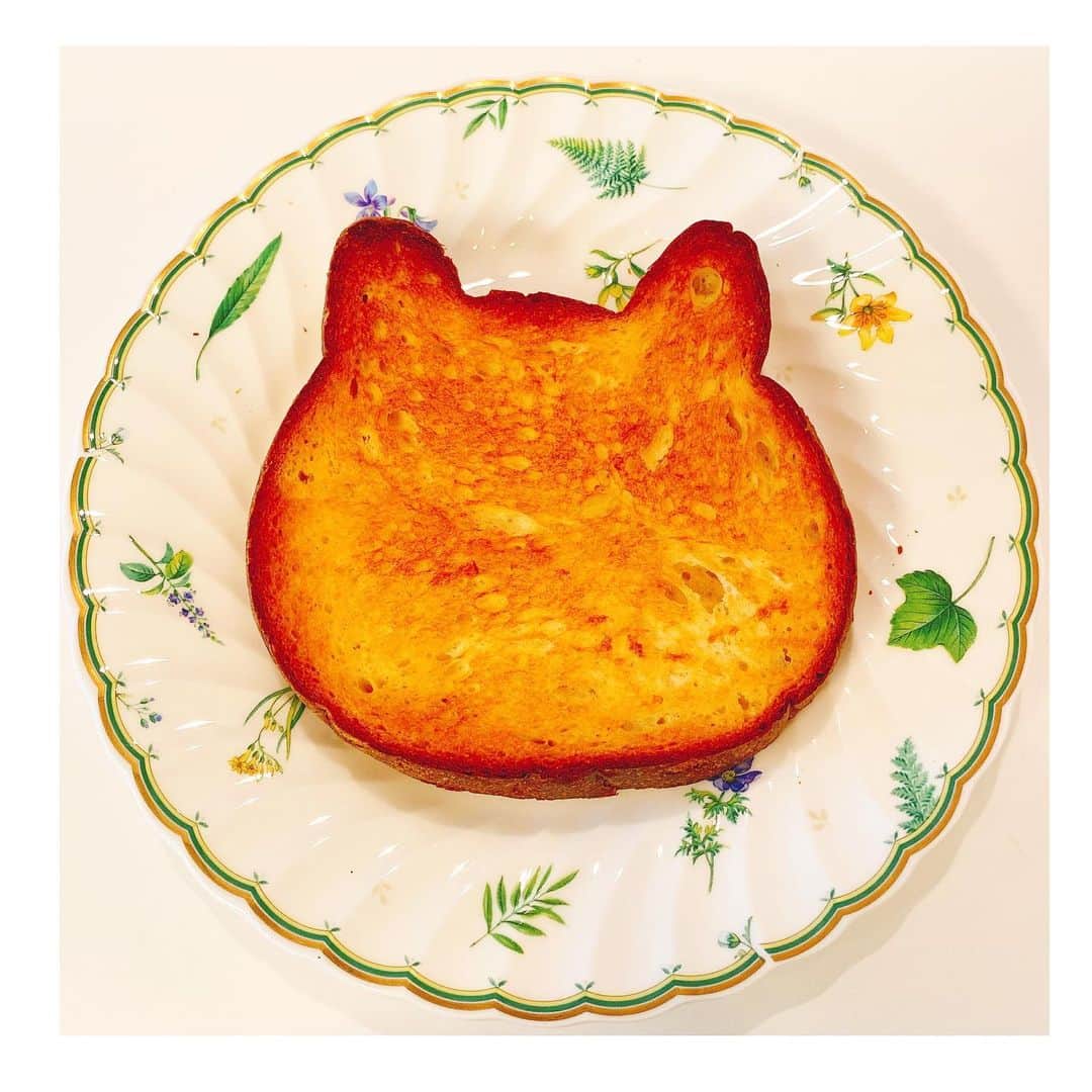 風花舞さんのインスタグラム写真 - (風花舞Instagram)「ねこねこ食パン。 可愛いだけでなく美味しい😻 顔、描きたい…」7月15日 9時09分 - kazahanamai_official