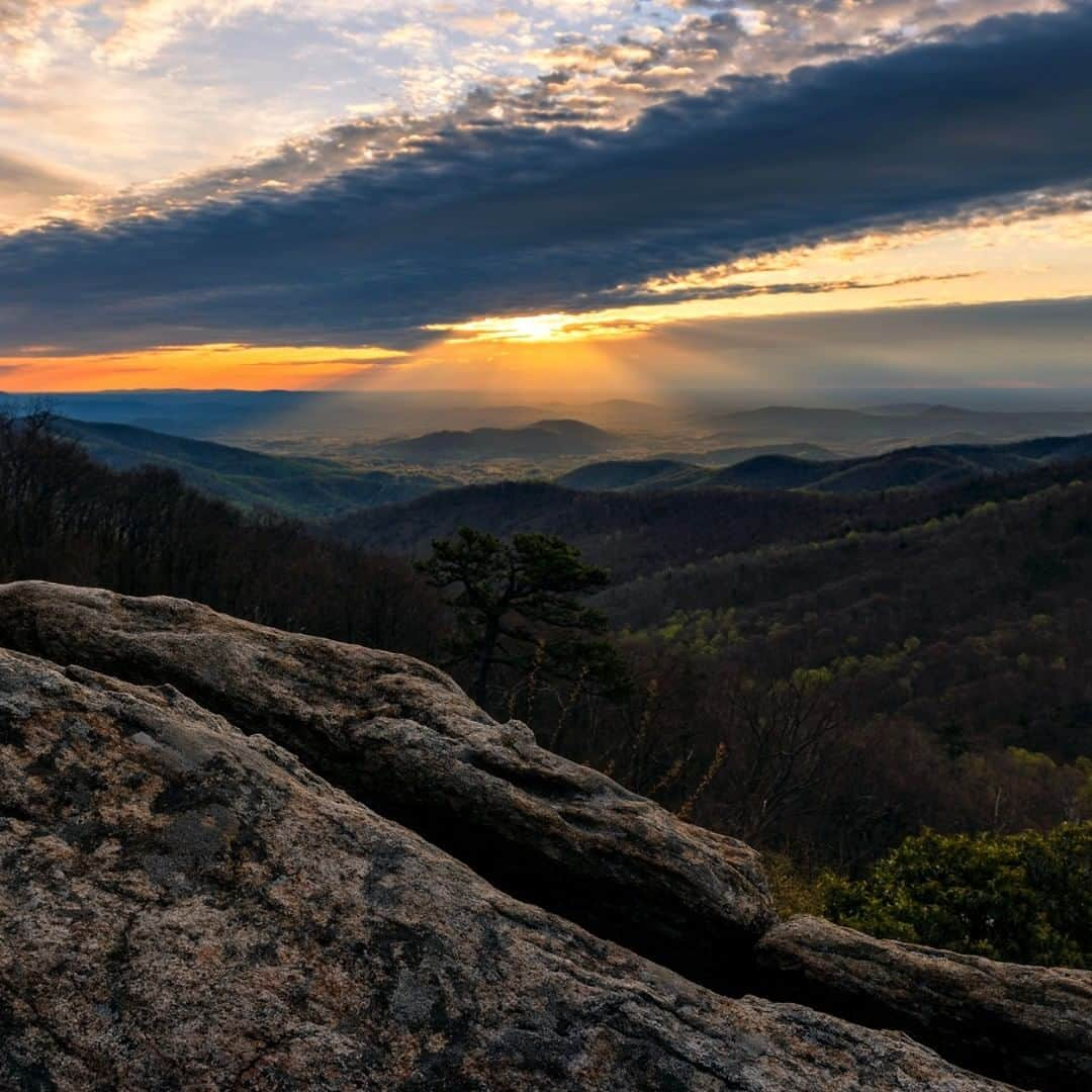 アメリカ内務省さんのインスタグラム写真 - (アメリカ内務省Instagram)「There's something special about sitting on an ancient stone and watching a symphony of a sunrise at Shenandoah National Park in #Virginia. Beyond the amazing views, the rock outcrops themselves can be fascinating communities for specialized plants and animals. Ranging from the massive granite boulders of Old Rag Mountain, to the sheer cliffs of Little Stony Man and the jumbled boulder fields of Blackrock, many of the park's outcrops host rare lichens and mosses as well as the endangered #Shenandoah salamander and the iconic Peregrine falcon. So enjoy the views, but tread lightly. Thanks! Photo from Hazel Mountain Overlook @ShenandoahNPS by #NationalPark Service. #RecreateResponsibly #usinterior」7月15日 9時10分 - usinterior