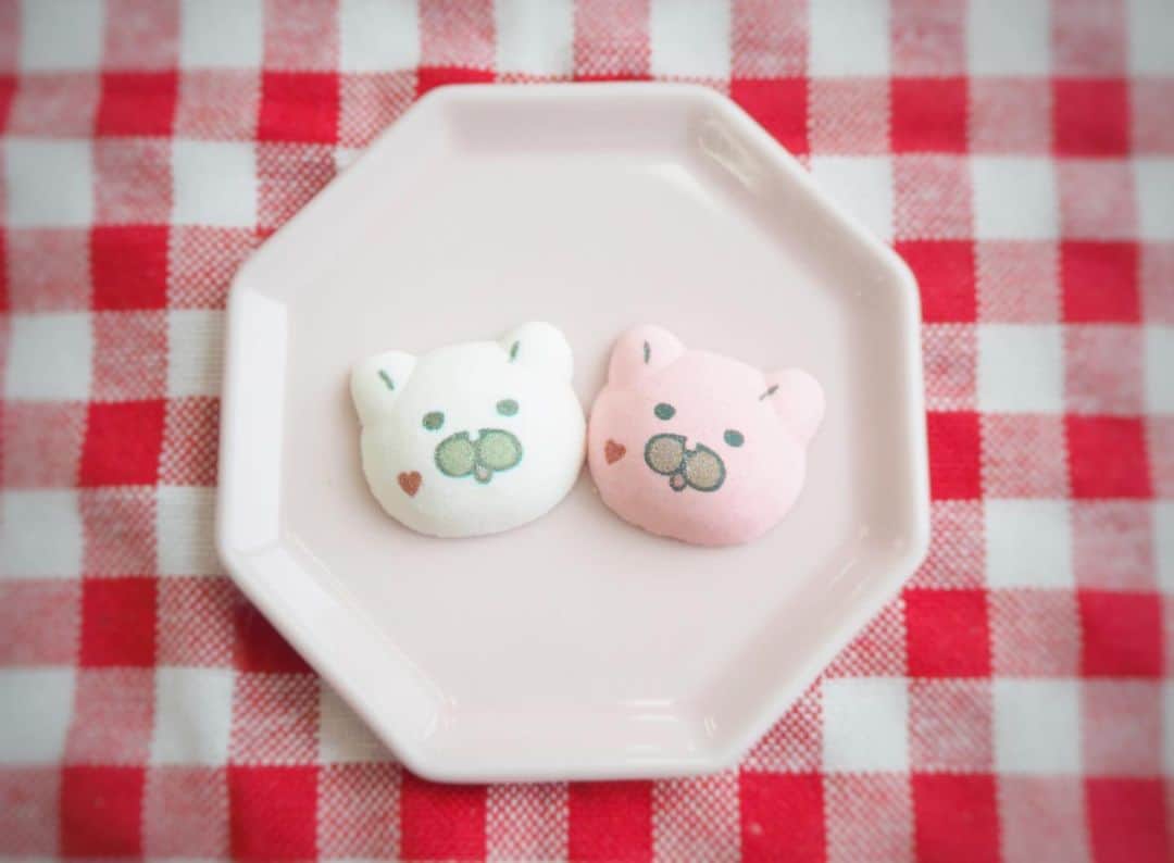 ねこのインスタグラム