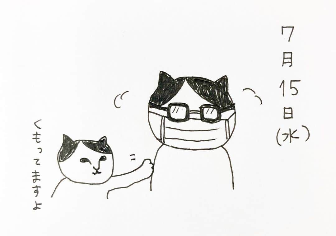 のインスタグラム：「今日のねこ。マスクでメガネが曇ってしまうねこ。対処法求ム😷 #neko_magazine #NEKONOBA #ねこマガジン #ネコノバ #ねこ #猫 #cat #catstagram #cat #雑誌ねこ #ねこ雑貨 #今日のねこ」