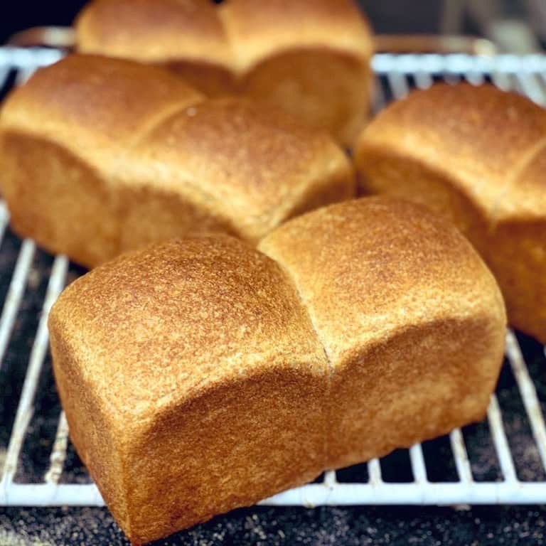 魔女菅原のグルメインスタ