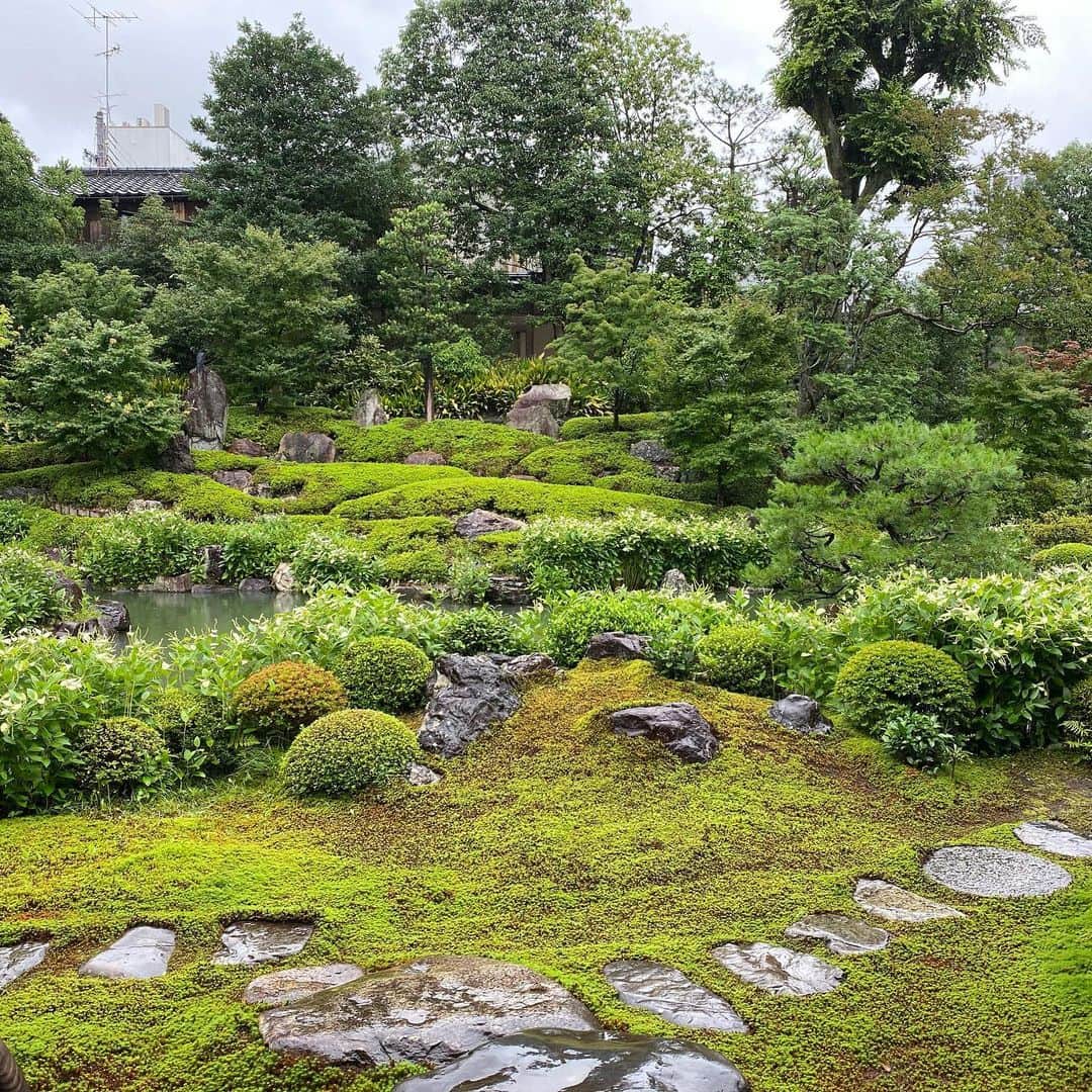 軍地彩弓さんのインスタグラム写真 - (軍地彩弓Instagram)「雨の京都。 いつもより人も少なく、時間がゆっくりと流れていました。 訪れた建仁寺両足院は、季節の半夏生が白く色ついていました。 伊藤東凌さんとの対話も、この時期をどう生きるか、の問いを自分自身深めるありがたい機会となります。 ただ、美しい庭の緑を眺めるだけで心が落ちつく。 帰り道に見つけた蓮の花の美しさ。  また、ここに戻りたいな。 #両足院 #kyoto @yoshie.816 ちゃん、いつもありがとう！LOVE❤️」7月15日 10時54分 - sayumi7