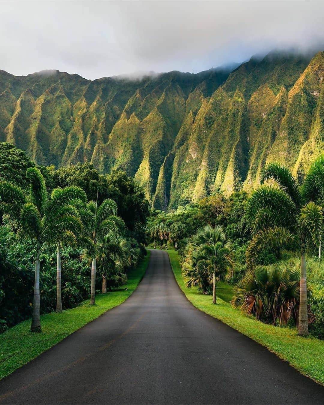 BEAUTIFUL DESTINATIONSさんのインスタグラム写真 - (BEAUTIFUL DESTINATIONSInstagram)「The mountains of Hawaii have us like 🤩😍 Tag a friend who'd love to visit here someday! (📸: @vincelimphoto 📍: Hawaii)」7月15日 11時07分 - beautifuldestinations